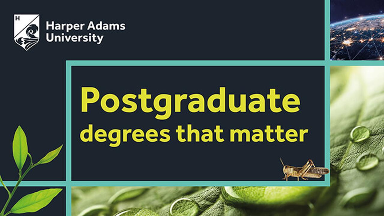 postgraduate degrees that matter
