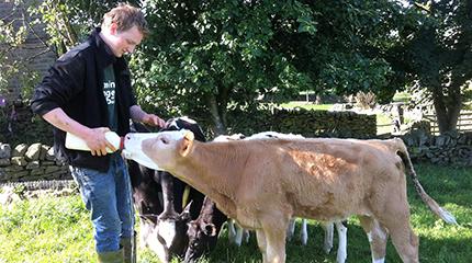 Oliver Ashton has always had an interested in farm animal nutrition but it was when he started studying agriculture at college that he realised that this was the sector he wanted to build a career in. Scholarship placement will aid career plans for Harper Adams University student