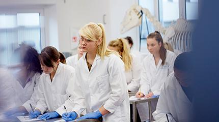 Harper Adams University has signed a Memorandum of Understanding with Keele University, announcing that they are in exploratory talks to establish a new Veterinary School.
Harper Adams and Keele in talks to establish joint veterinary school