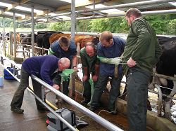 Some of the training FarmSkills provides Some of the training FarmSkills provides