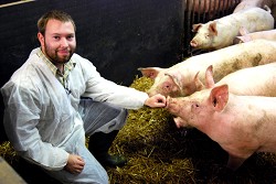 Steve with the pigs at Harper Adams