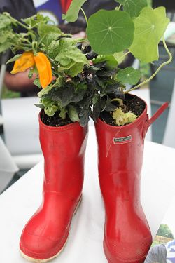 Plant pot wellies on one of the stalls. Plant pot wellies on one of the stalls.