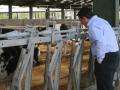 300 Cow Club visit