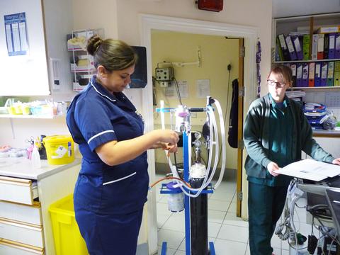 Clinical coach Amy observes third year placement student Anley setting up and checking the anaesthetic machine, a daily routine task for the veterinary nurse.