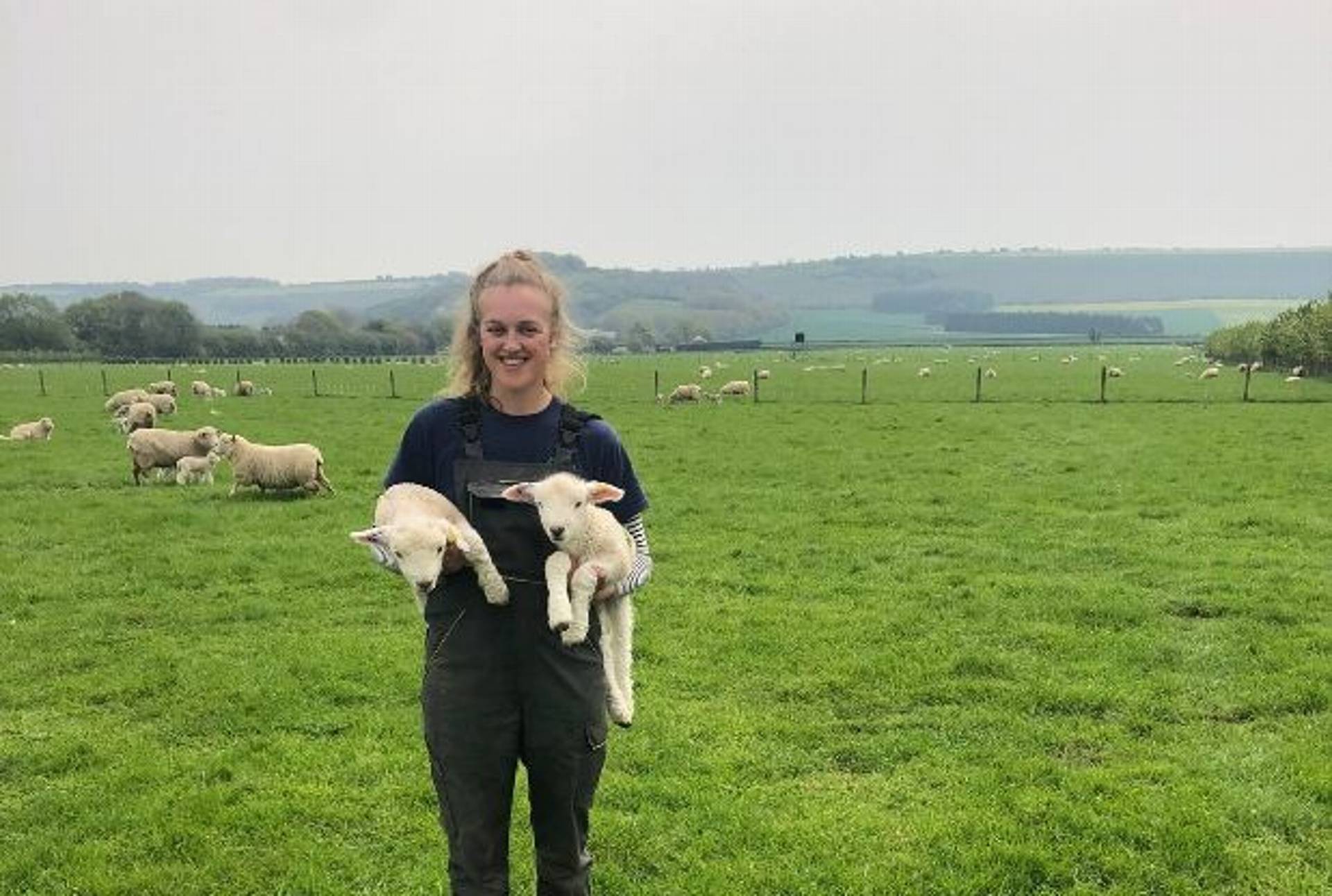Kildare Charitable Trust Scholar: Bryony Ennis | Harper Adams ...