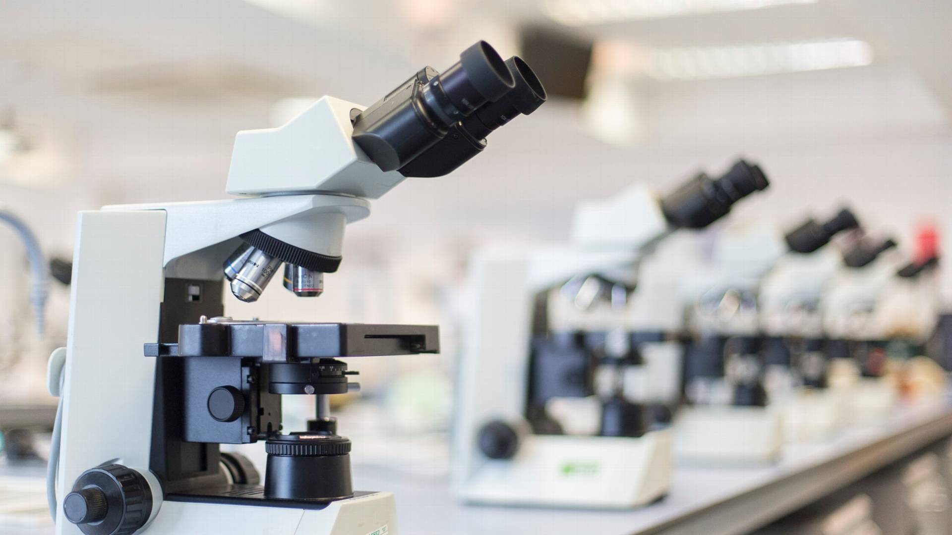 Under the microscope: exploring the Technician Commitment at Harper ...