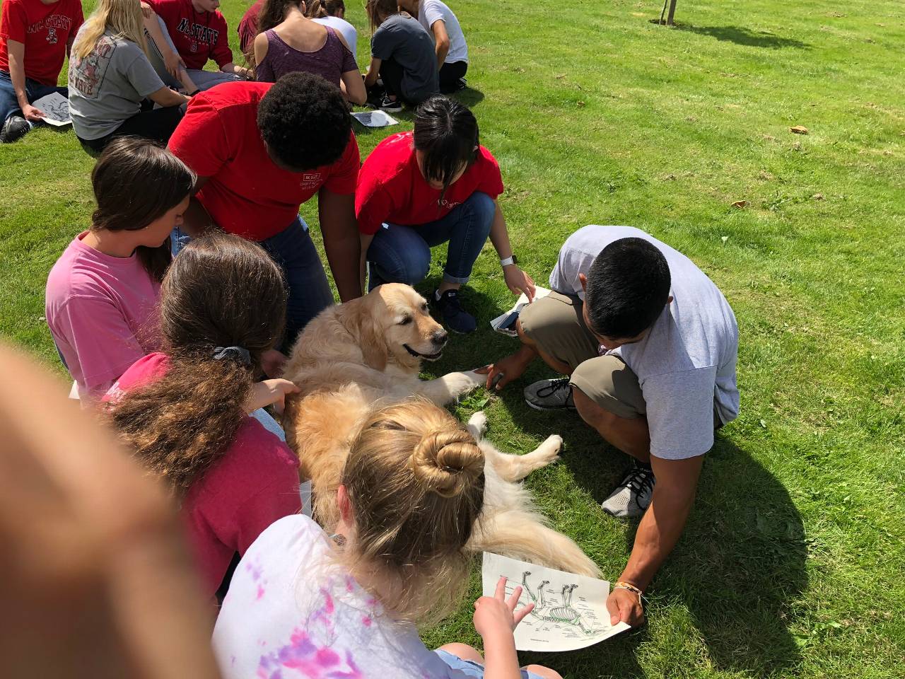 North Caroline State University students attend summer school at Harper