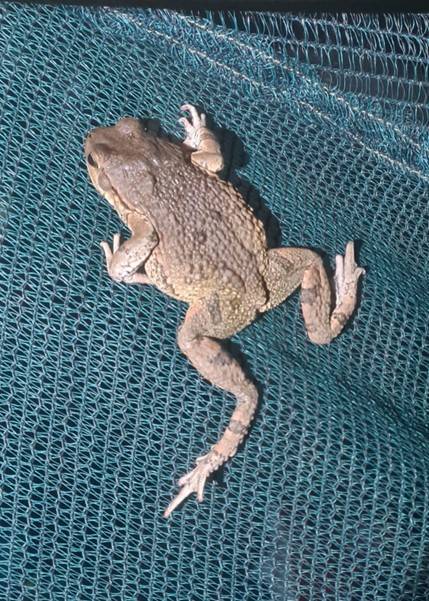 Blog: 'Don't break a snake!' - reflections on a final-year field trip to South Africa Blog: 'Don't break a snake!' - reflections on a final-year field trip to South Africa