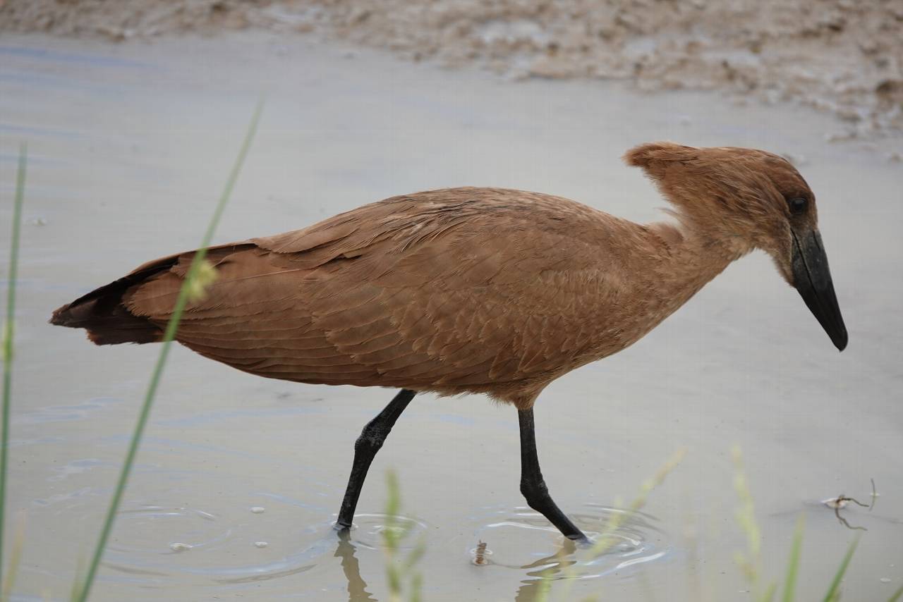 Blog: 'Don't break a snake!' - reflections on a final-year field trip to South Africa Blog: 'Don't break a snake!' - reflections on a final-year field trip to South Africa