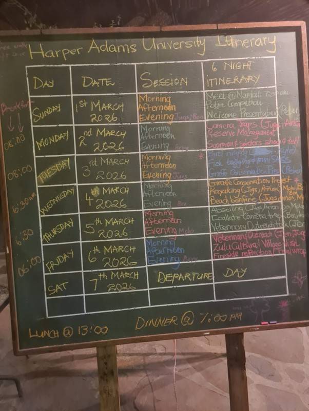  the students help Jugs