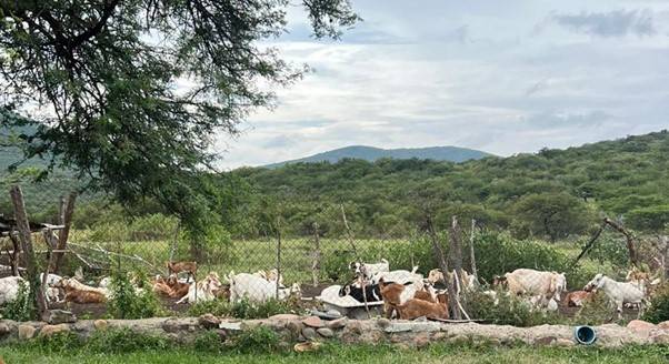 One of the students starting the abseil