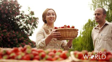 Excitement builds for Royal Welsh Show