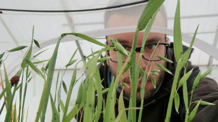 Italian entomologist gains valuable experience