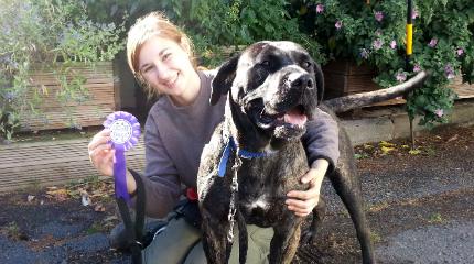 Student launches pet sitting business