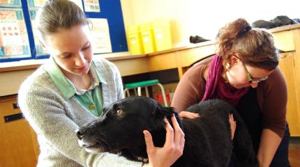 Expansion of veterinary sciences provision