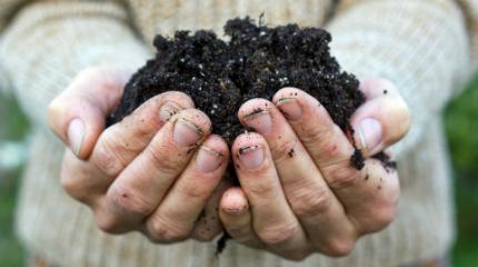 Our World View: World Soil Day