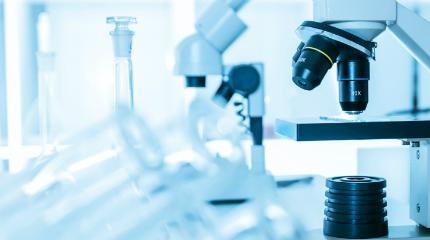 Research into fallen stock disposal continues