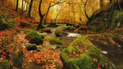 Our World View: Harper Adams - addressing a skills gap in forestry sector