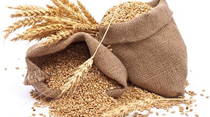 Our World View: Ukraine, grain and food security