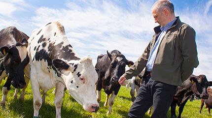 Animal behaviour research key to more efficient, sustainable farming systems, says new  Reader