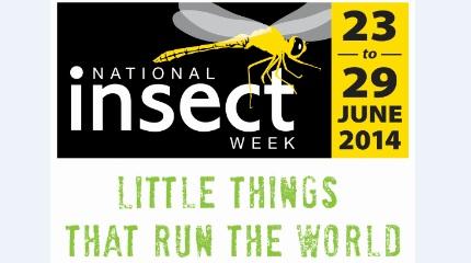 Harper Adams supports National Insect Week