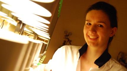 NIW Research profile: Fran Sconce