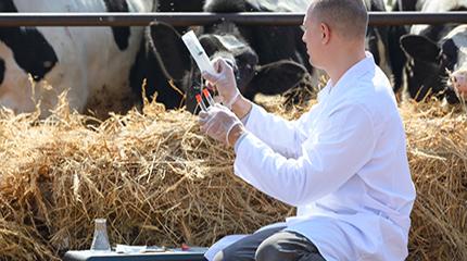 New Official Veterinarian qualification to be offered