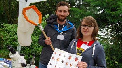 Entomologists share insect expertise with charity garden visitors (video)