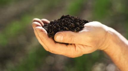 Potential of no-till systems for arable farming