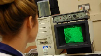 Taking a closer look at insects