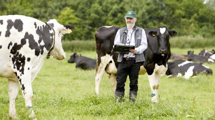 Data integration is key when monitoring livestock
