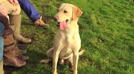 Countryside students produce top promotional videos