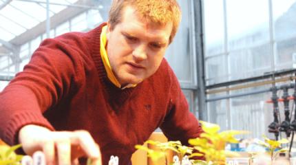 Research to improve potato varieties