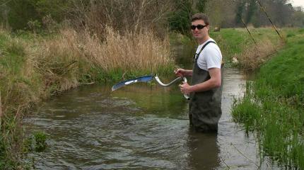 Improving the management of chalk streams