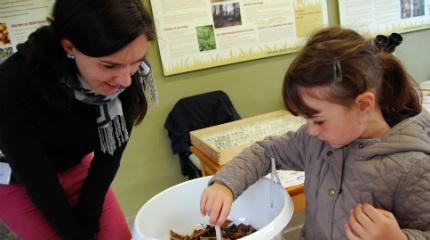 University entomologists to support insect event