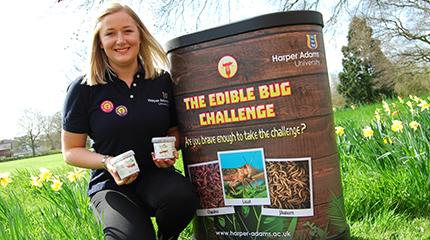 Would you swap steak for insects? Take the Edible Bug Challenge this summer!
