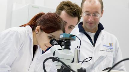 Entomologists attend annual research conference