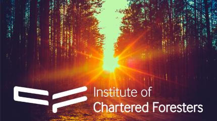 Forestry MSc and BSc courses gain ICF accreditation