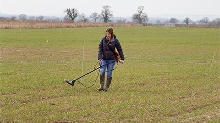 Researcher uses tiny trackers to learn about slug behaviour