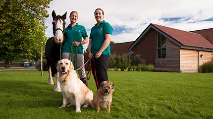 Centre opens up veterinary physiotherapy services to wider community