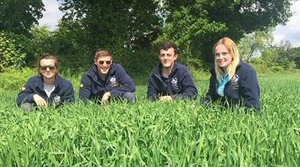 Team Harper change strategy in 2017 Cereals Challenge