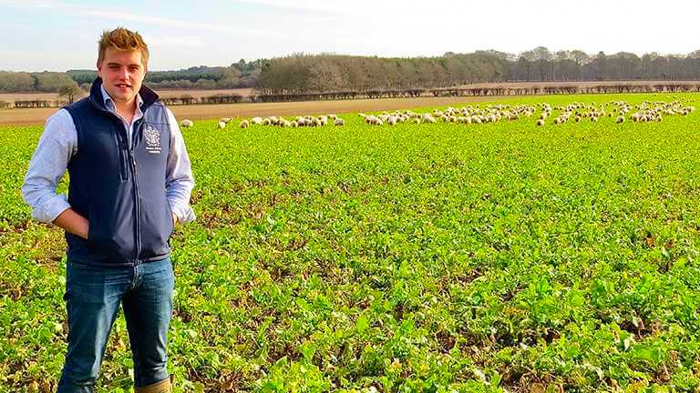 Farmers wanted for study on termination of cover crops