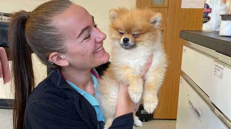 Lockdown separation anxiety? Future veterinary nurse focuses on the impact of C19 on dogs and owners.