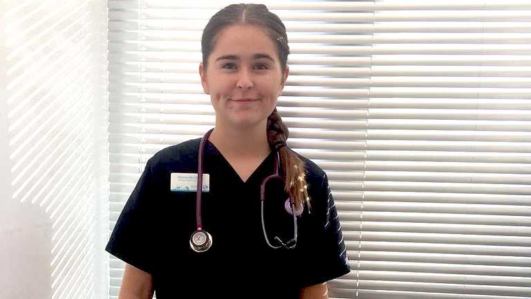 Plea for vet professionals’ help with feline dental care research 