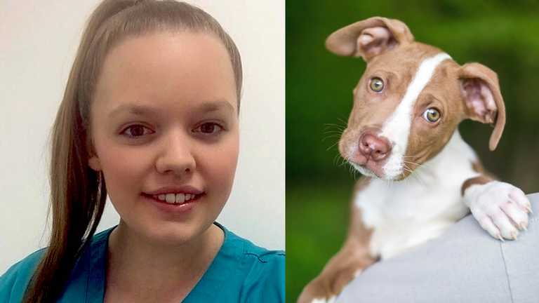 Do dog owners get the support they need for canine epilepsy?