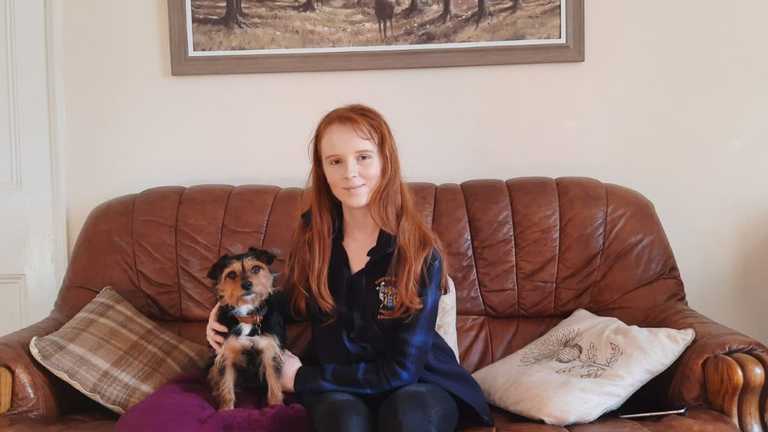 Does it matter where our canine companions come from? Student research explores attitudes to adopting and rehoming dogs from in and outside the UK.  