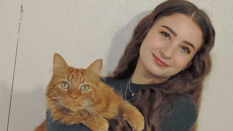 Research explores the optimal living environment for domestic cats