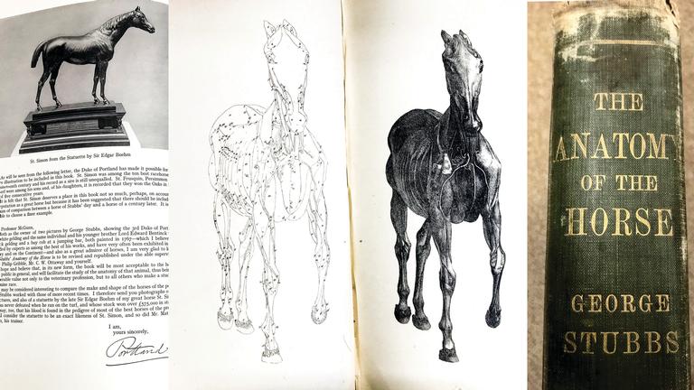 Animal Health Trust Library donated to Harper & Keele Veterinary School 