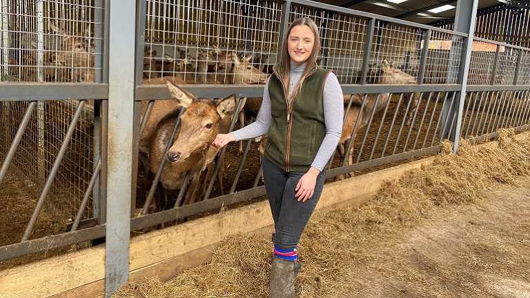 Research aims to explore views behind public perceptions of venison