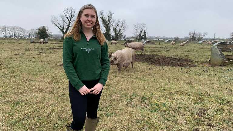 Harper Adams student research explores roles of the stockperson on outdoor pig breeding units 